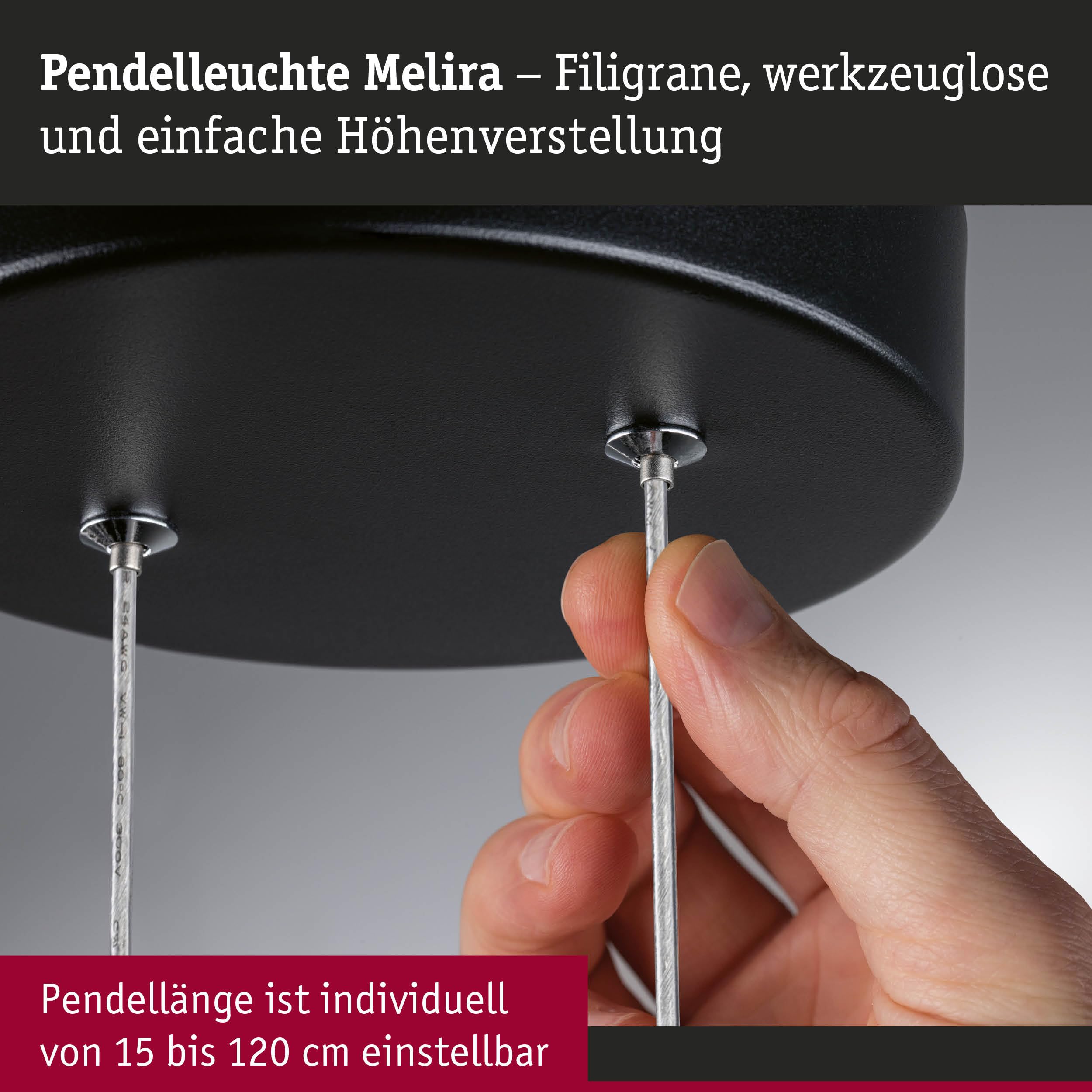 Paulmann Melira 94928 Pendelleuchte Schwarz-Gold 3-Step