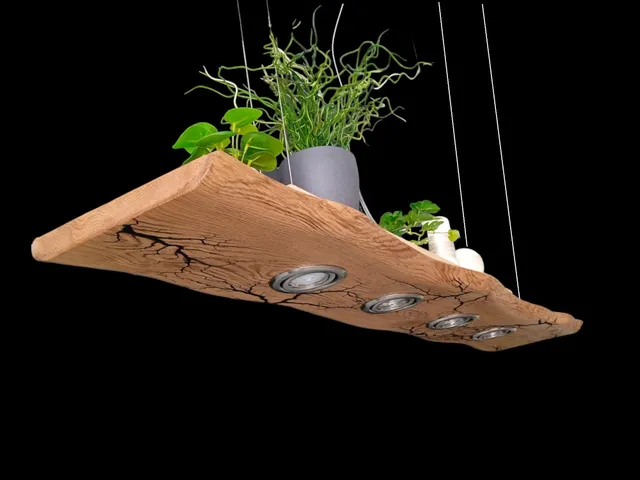 FRIESENLICHT Tako Pendelleuchte Holz 120cm 4 Spots