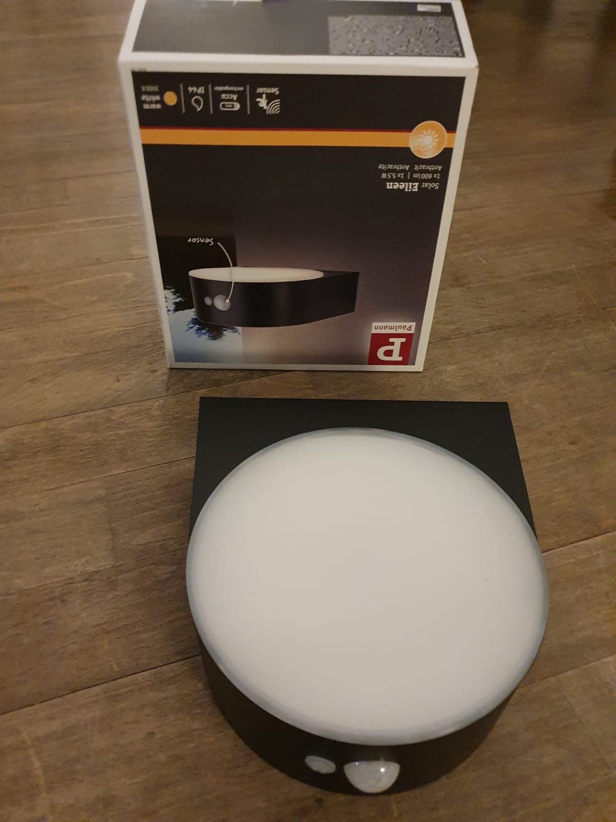 Paulmann Eileen 94570 Solar Außenwandleuchte 3000K