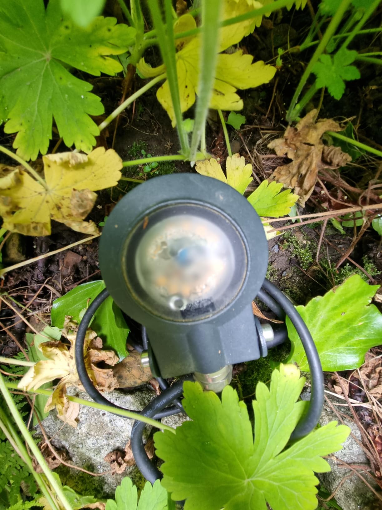 Paulmann 93934 Plug&Shine Sting Spot IP67 6W 3000K