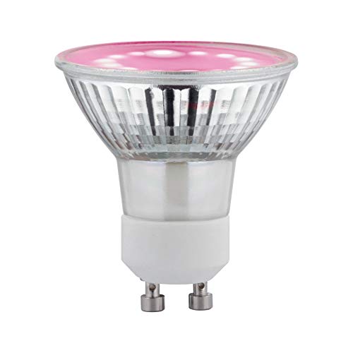 Paulmann 28736 LED-Pflanzenlampe GU10 Vollglas Wachstum