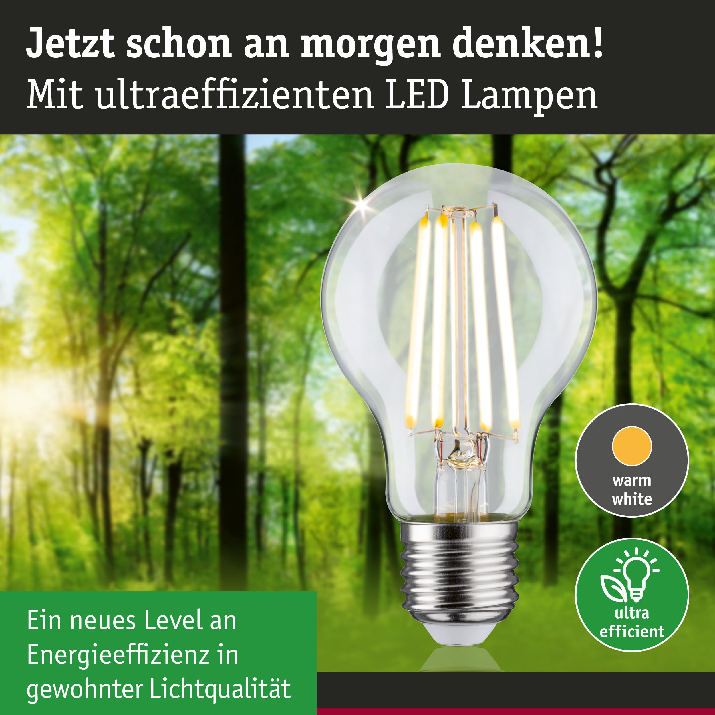 Paulmann 5284 Efficient-Line LED Birne E27 3000K 5er Set
