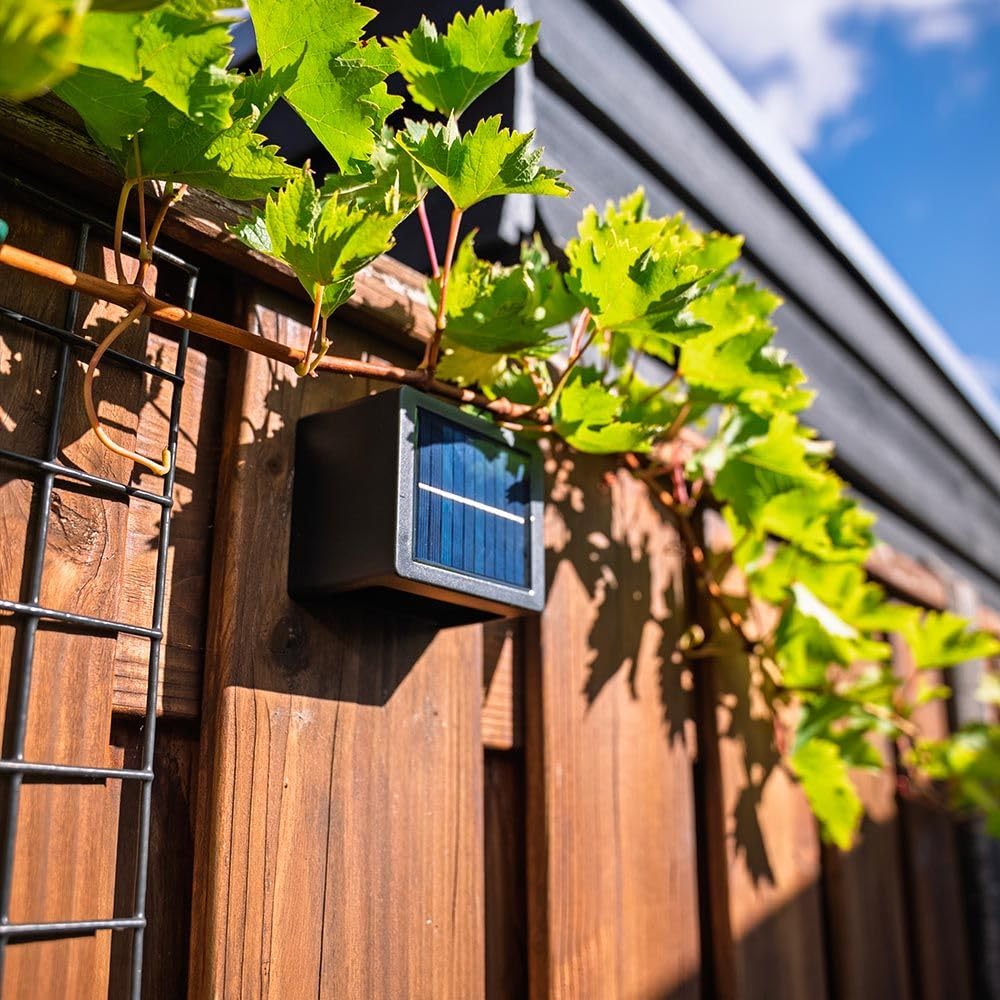 Hoftronic Louis Solar Wandleuchte 2er Set IP65