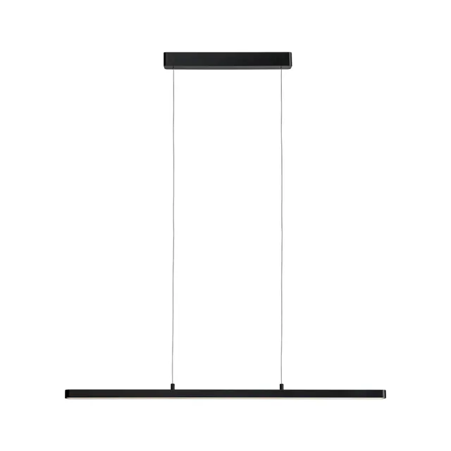 Paulmann Lento Pendelleuchte Schwarz Tunable White 2100lm