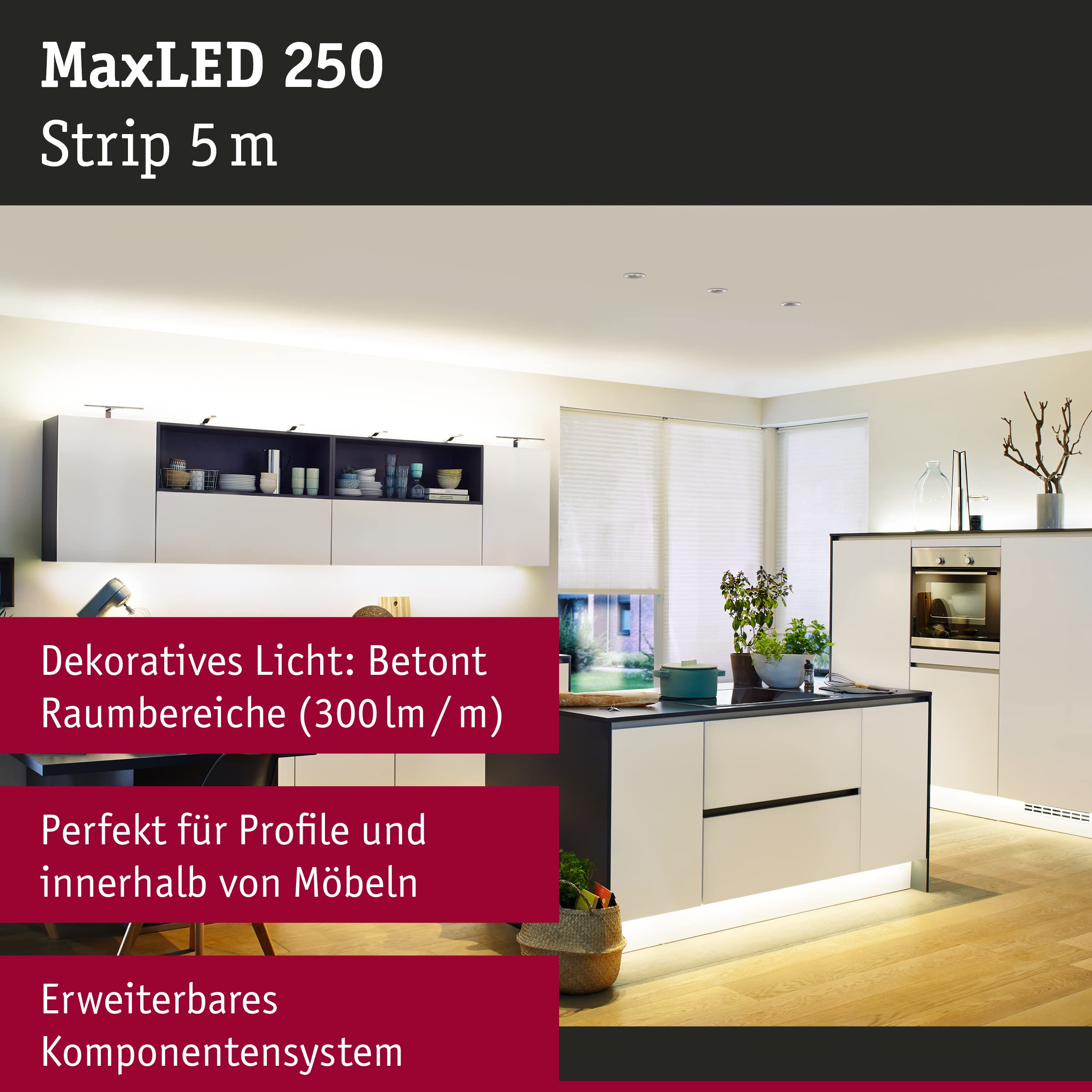 Paulmann MaxLED 250 LED-Strip 5m warmweiß 2700K IP20
