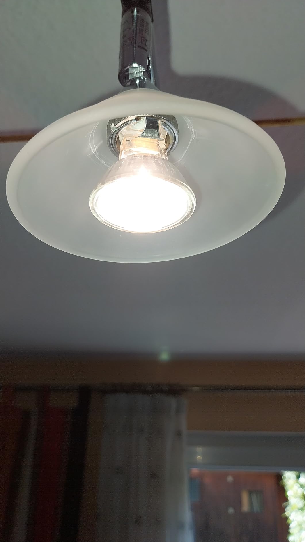 Paulmann Colmar 94138 Seilspot chrom satin einzeln