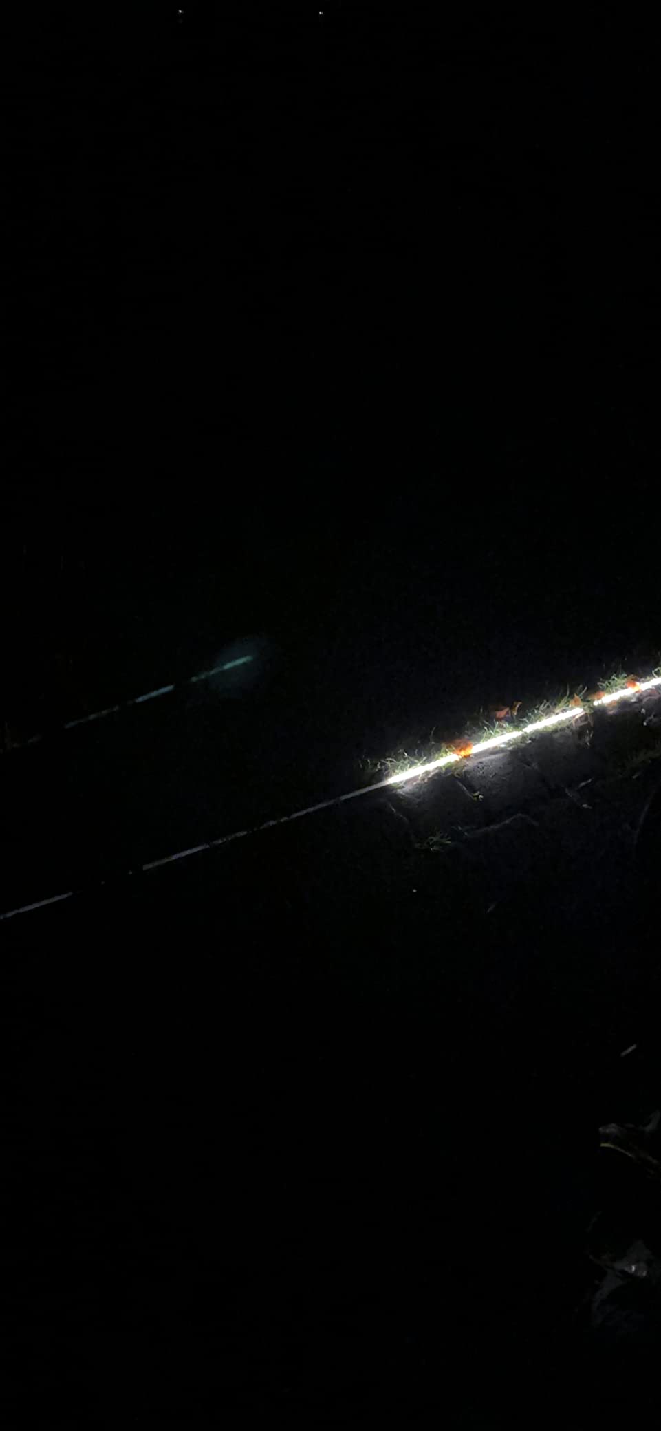 Paulmann Plug & Shine Stripe LED Streifen 5m warmweiß IP67