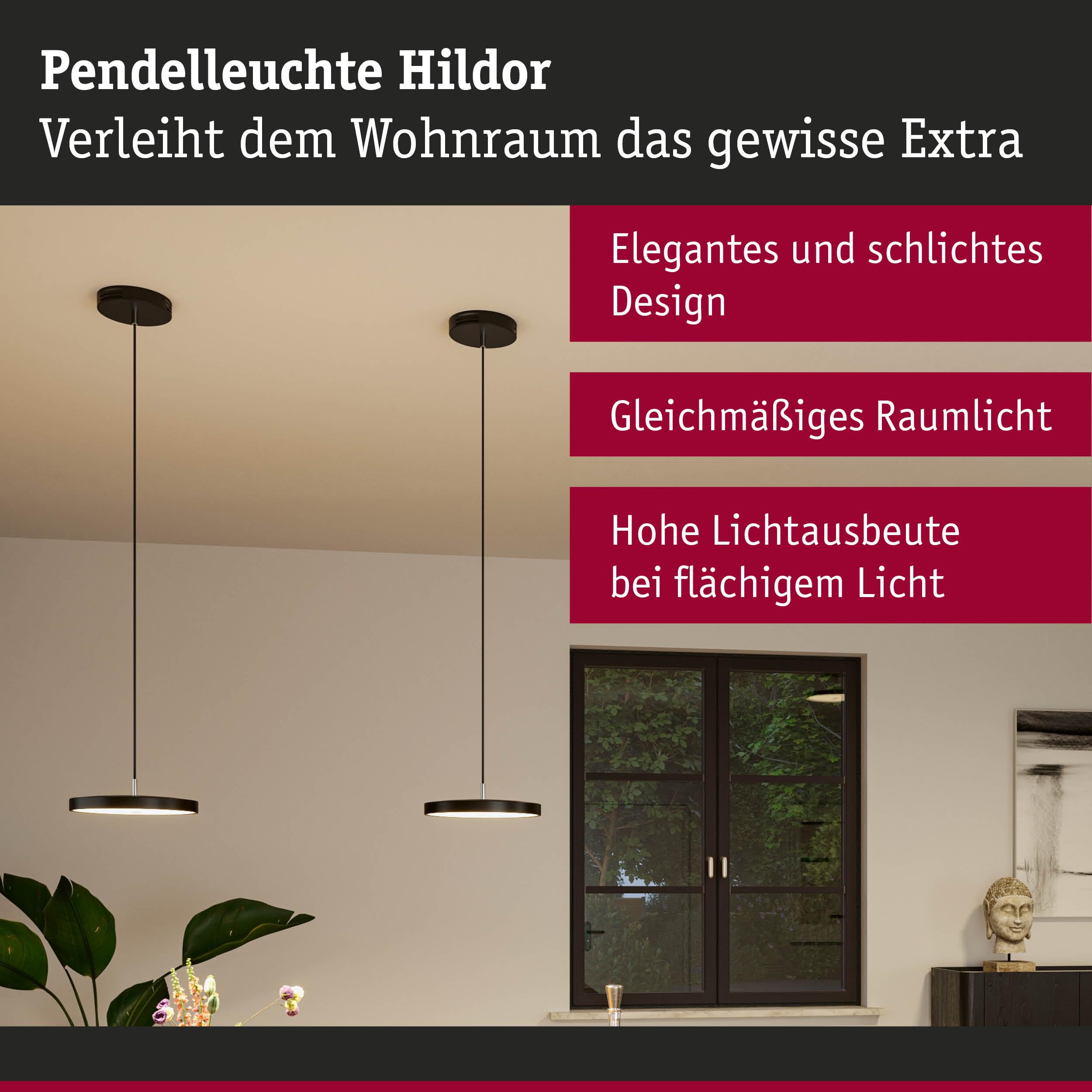 Paulmann Hildor 96777 LED-Pendelleuchte schwarz 1000lm