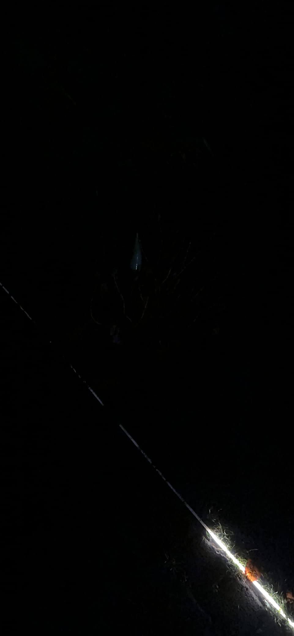 Paulmann Plug & Shine Stripe LED Streifen 5m warmweiß IP67