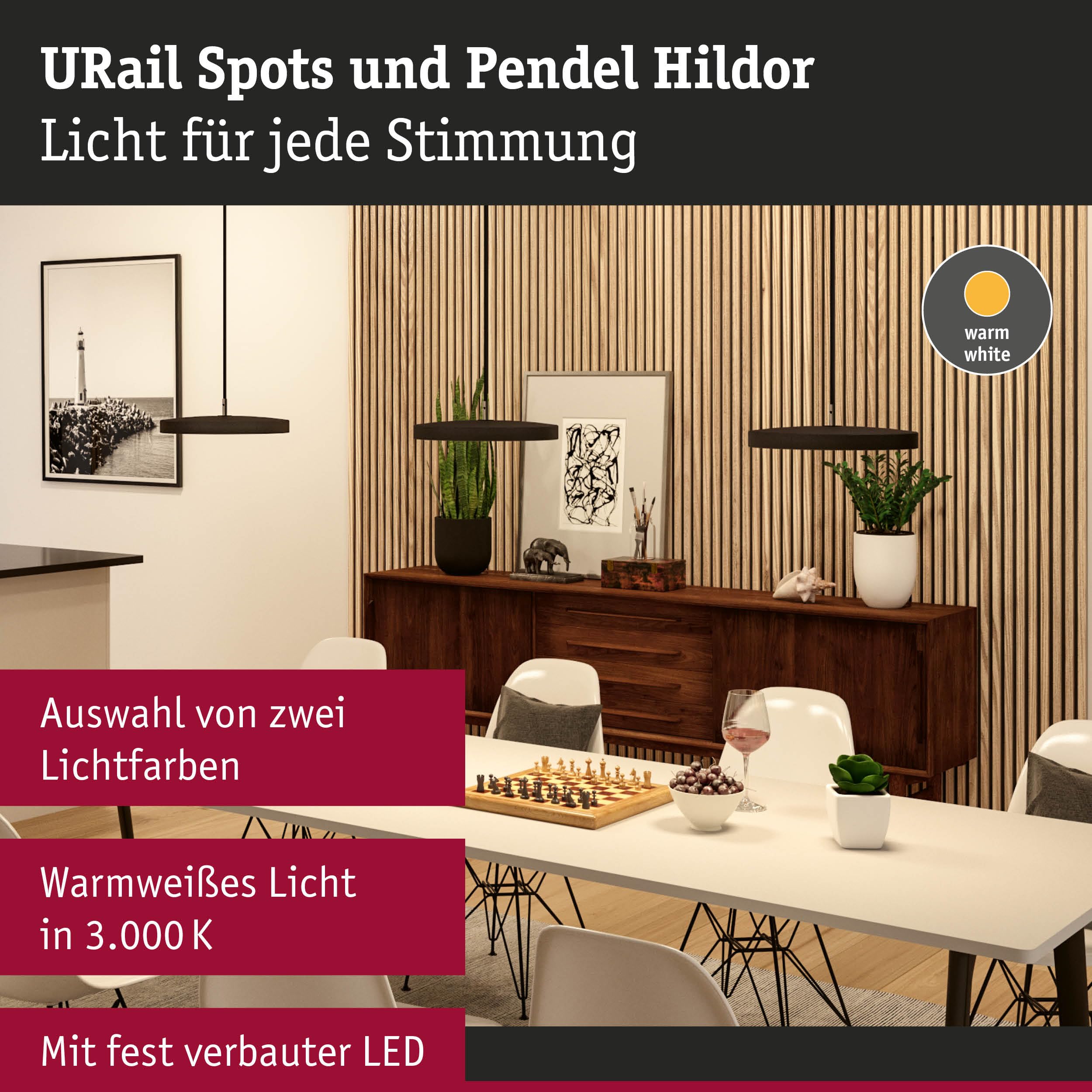 Paulmann URail Hildor Schienenstrahler Schwarz matt 3000K
