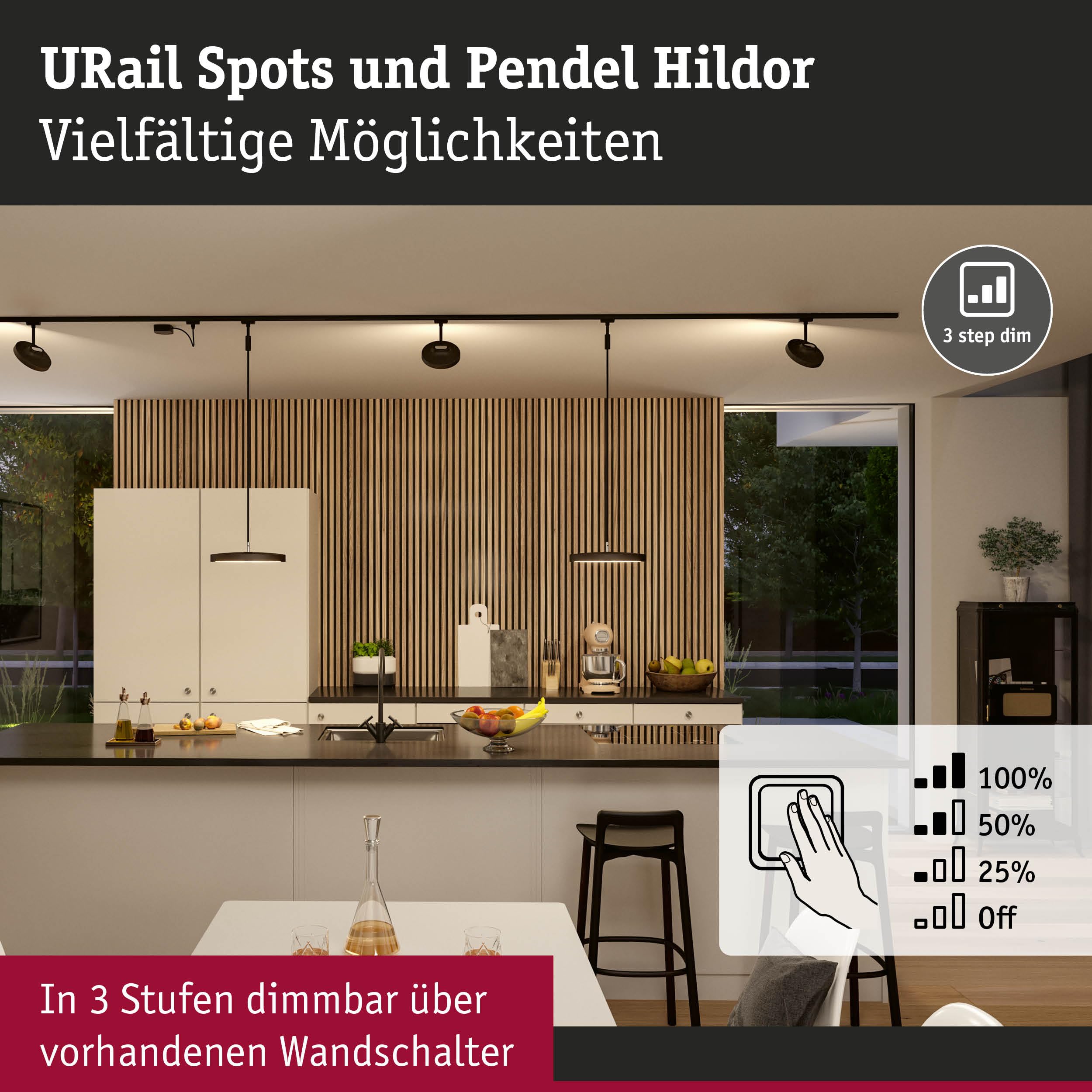 Paulmann URail Hildor Schienenstrahler Schwarz matt 3000K