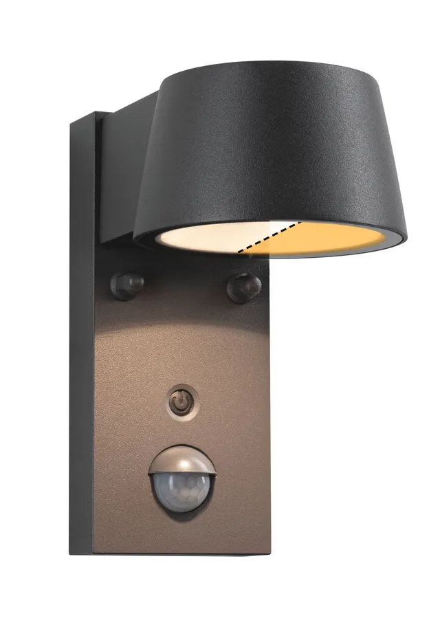 Paulmann Capea 94714 LED Wandleuchte Schwarz mit Sensor