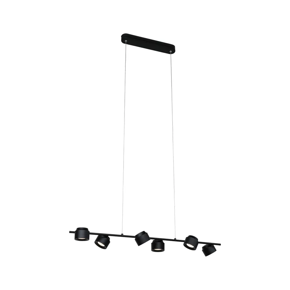 Paulmann 79773 Puric Pane Pendelleuchte schwarz 6-flammig