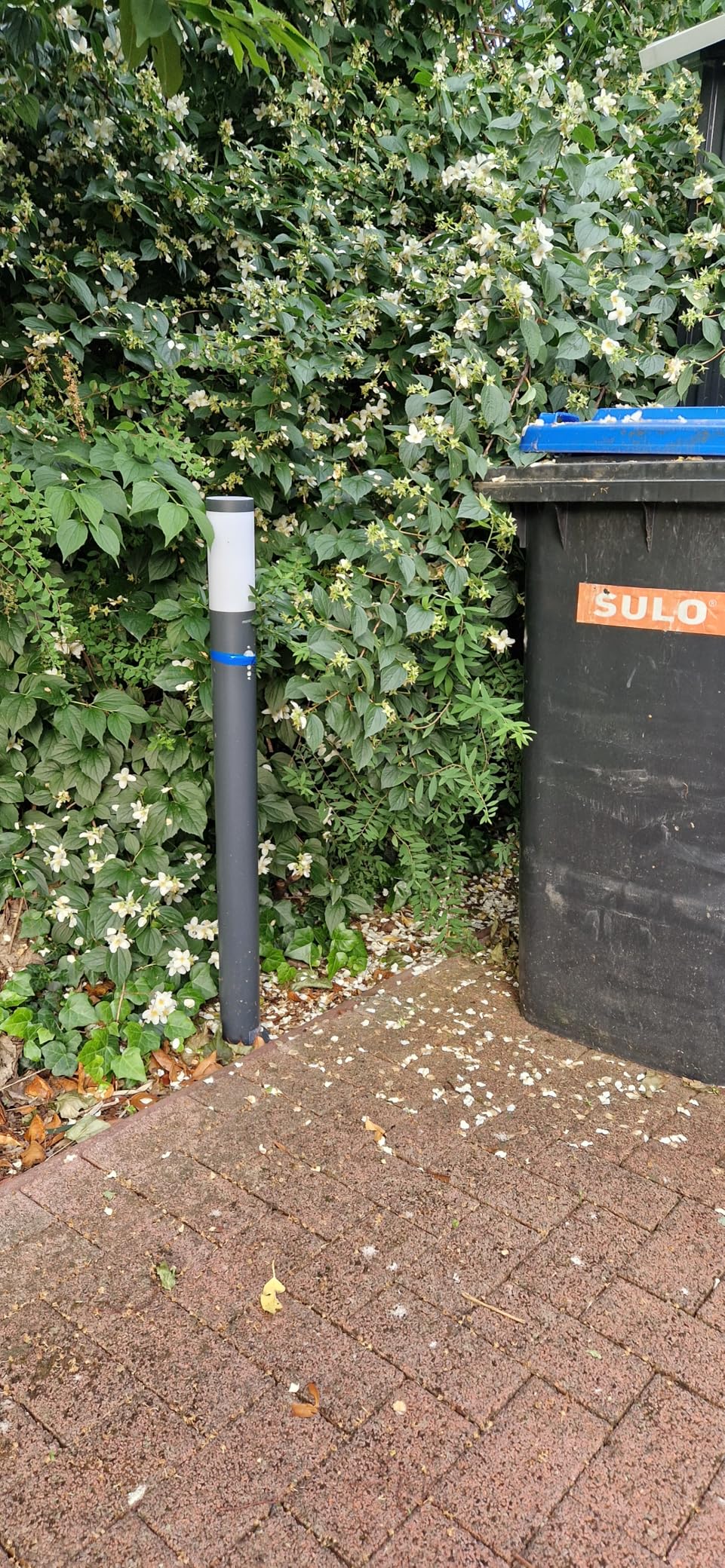 MATO Wegeleuchte Außen 50cm Edelstahl 4er-Set anthrazit