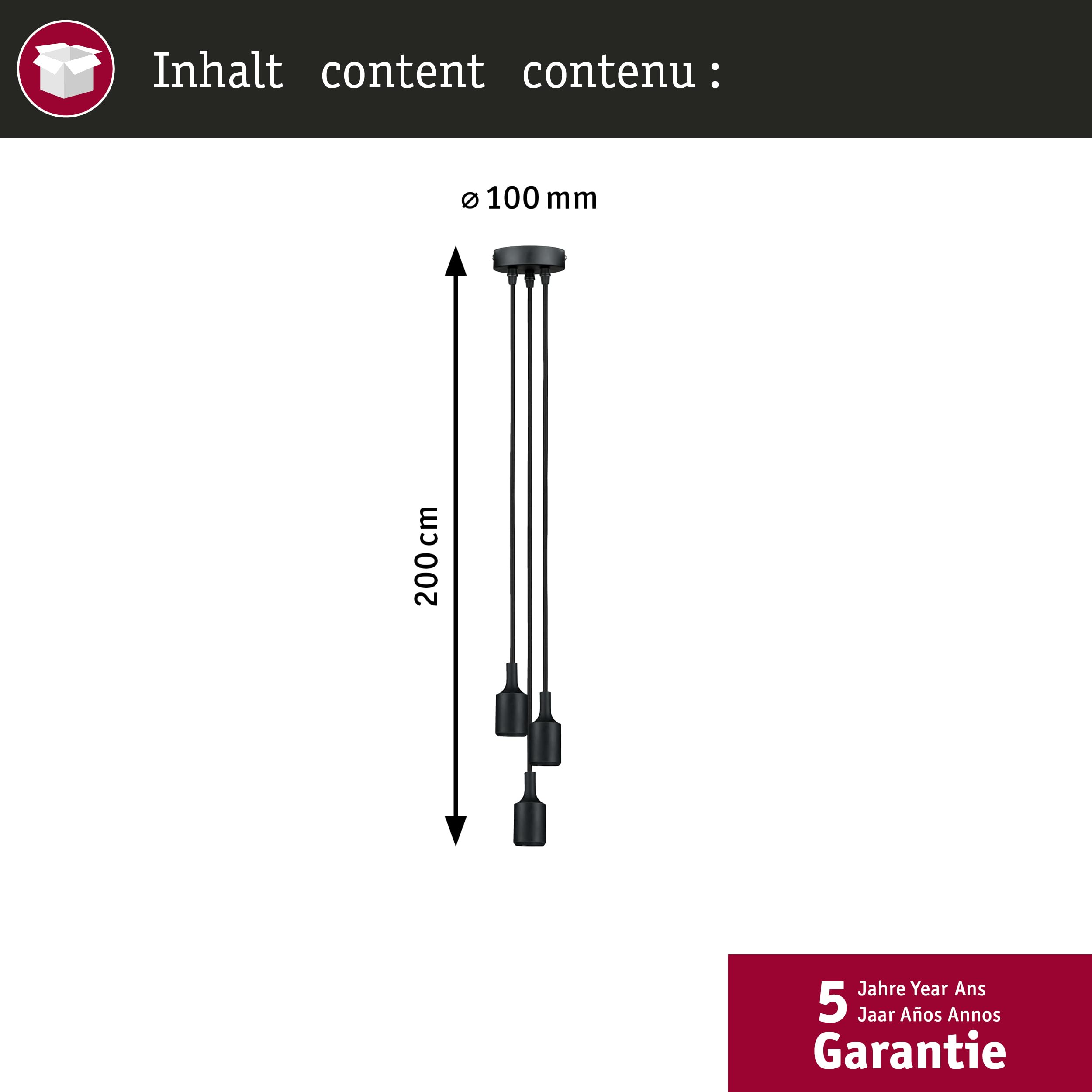 Paulmann Neordic Ketil 50382 Pendelleuchte Schwarz