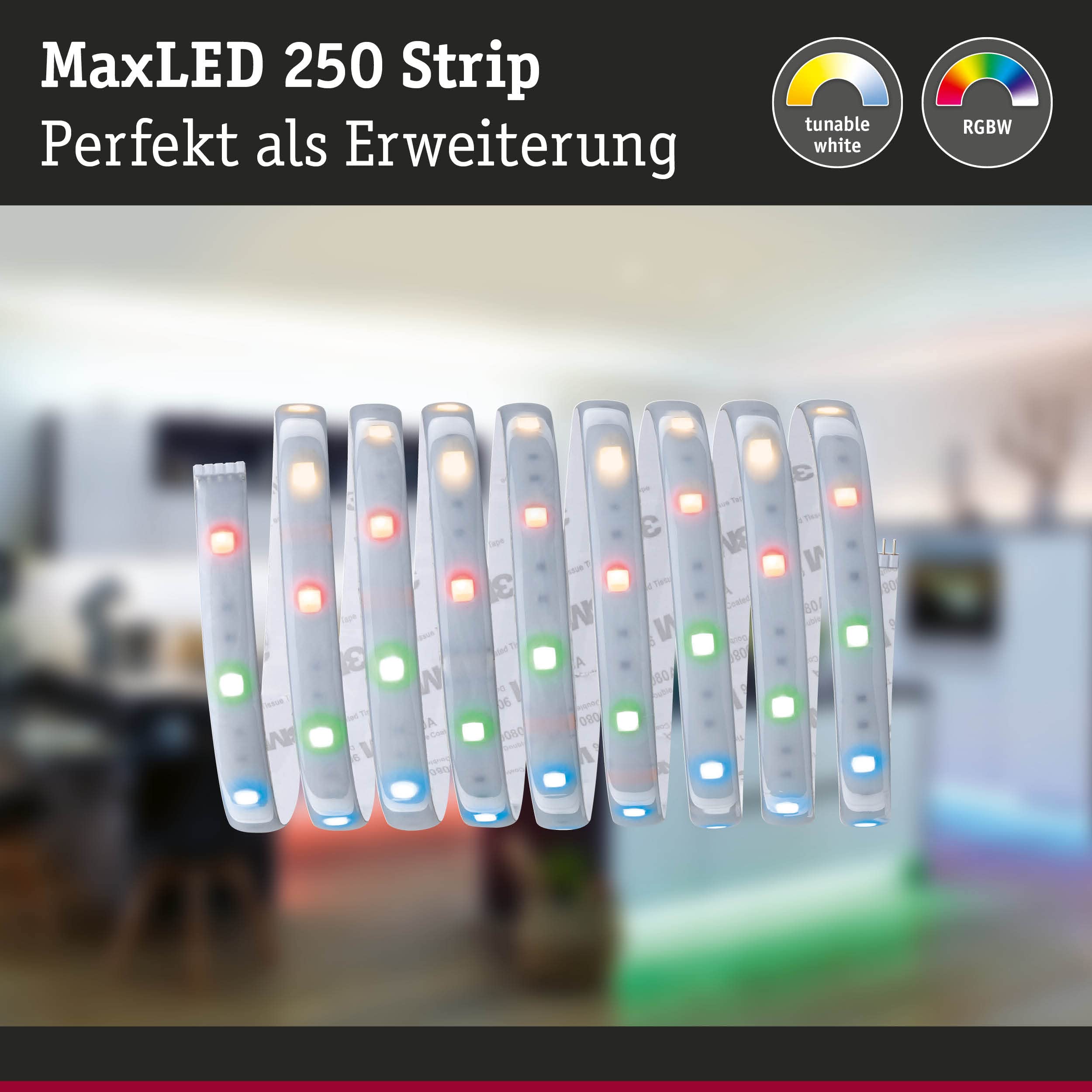 Paulmann MaxLED 250 LED-Streifen 2,5m RGBW beschichtet