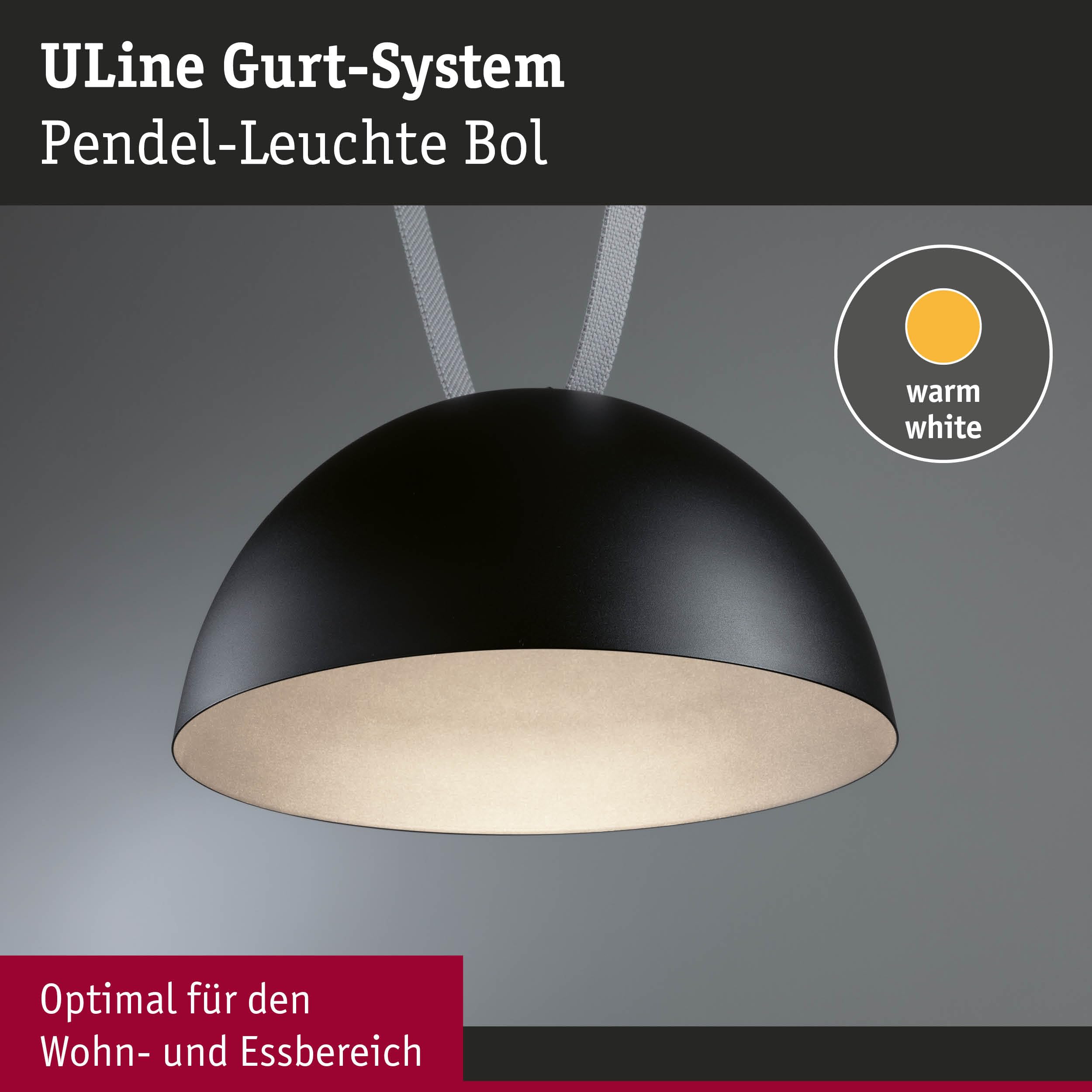 Paulmann ULine Bol Pendelleuchte 300mm schwarz
