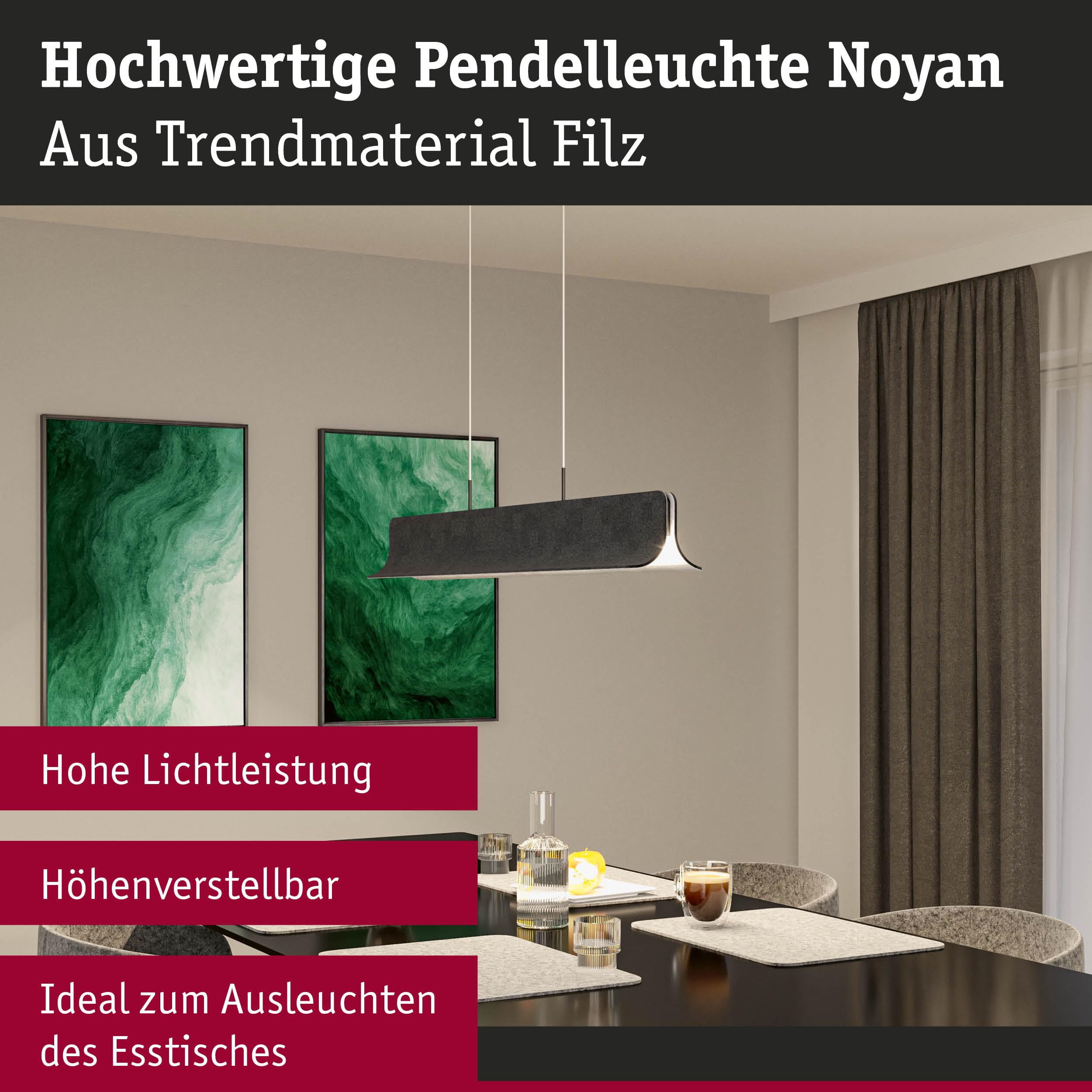 Paulmann Noyan 79982 LED Pendelleuchte Anthrazit 100 cm