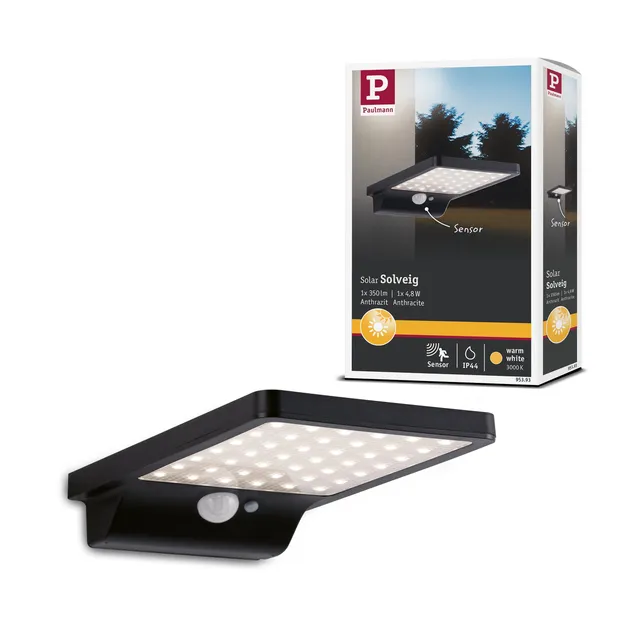 Paulmann Solveig 95393 Solar-Wandleuchte schwarz 3000 K