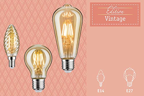 Paulmann 28716 Filament Globe 6,5W E27 Birne gold 2500K