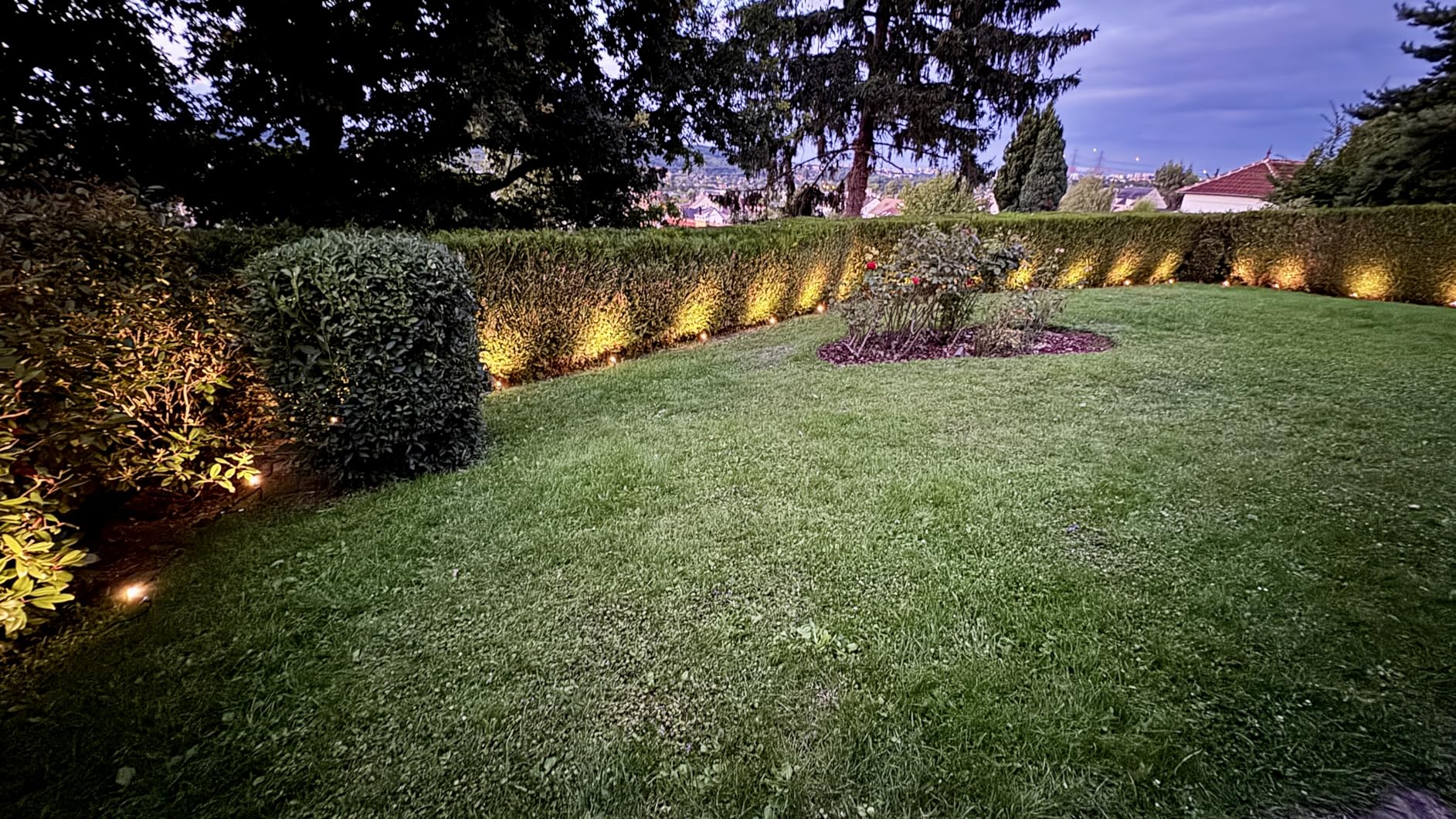 Paulmann Plug&Shine Plantini Spot 3000K anthrazit Ergänzung