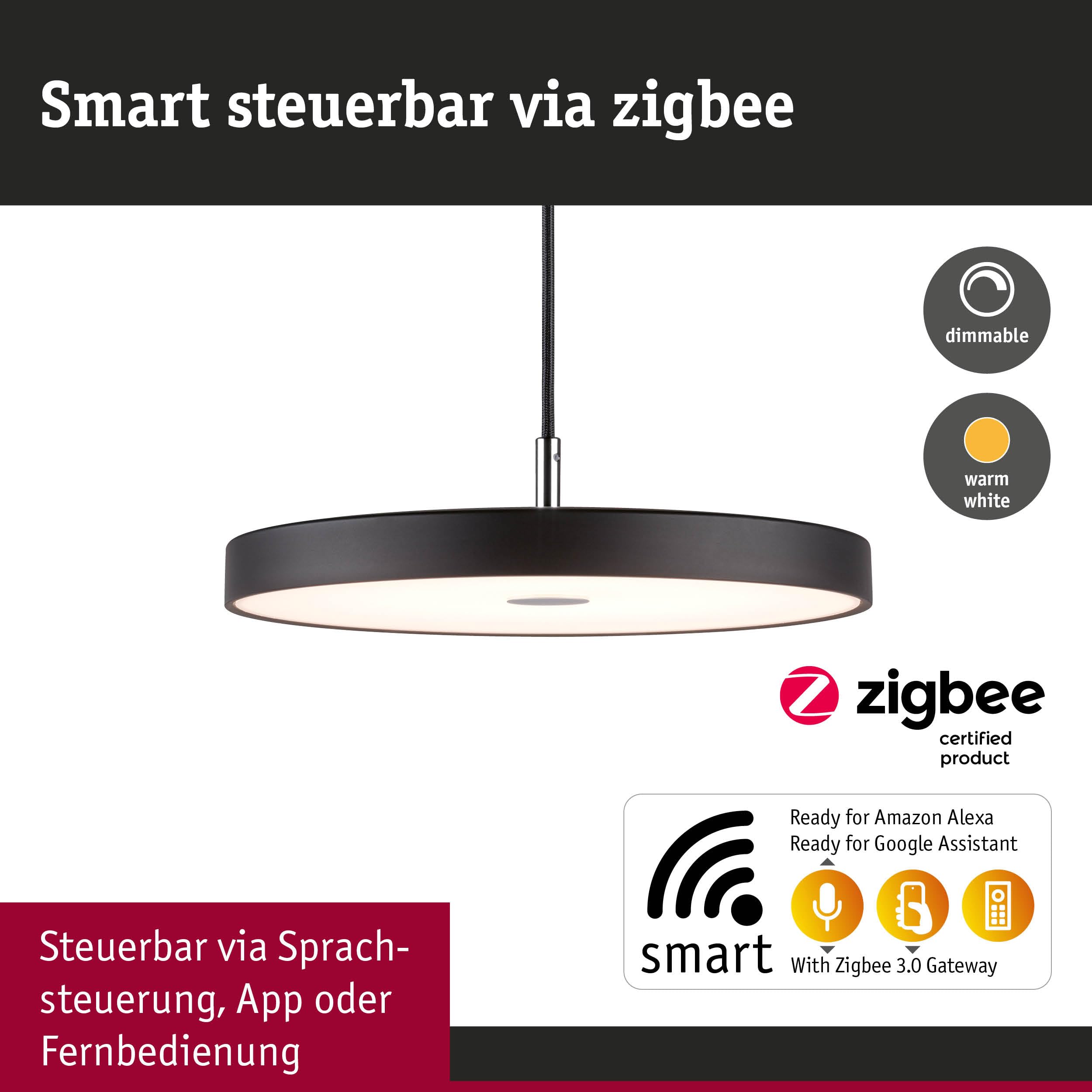 Paulmann Hildor 96777 LED-Pendelleuchte schwarz 1000lm