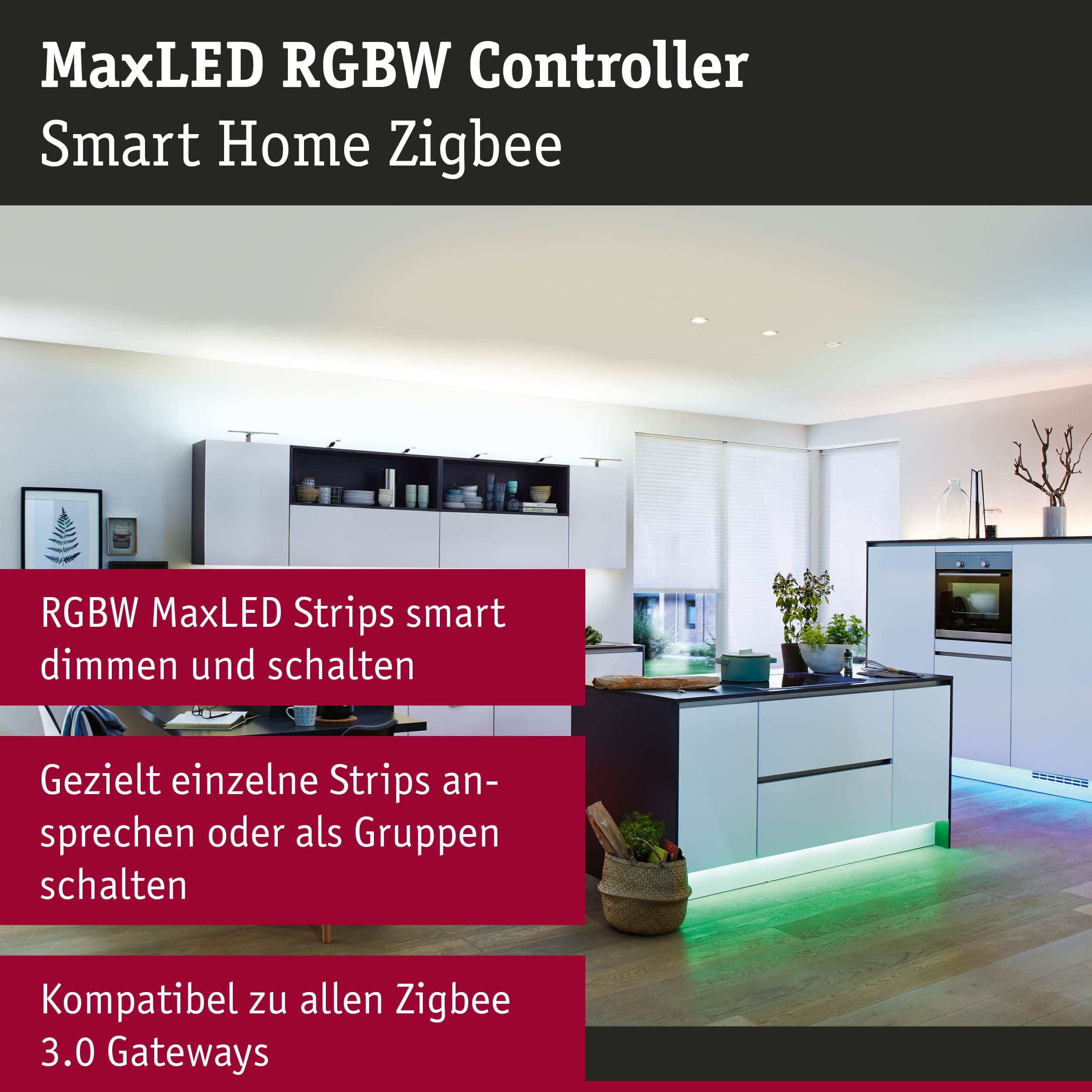 Paulmann MaxLED 50047 Zigbee Controller RGBW 24V