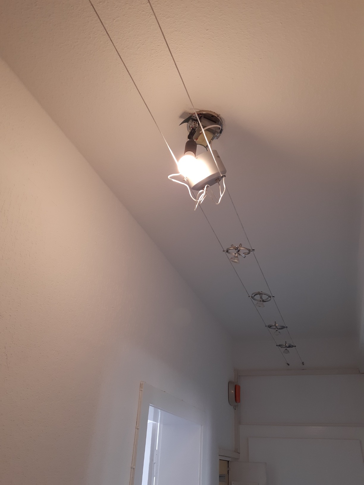 Paulmann Cardan 94153 Seilsystem 8er-Set dimmbar ohne Leuchtmittel