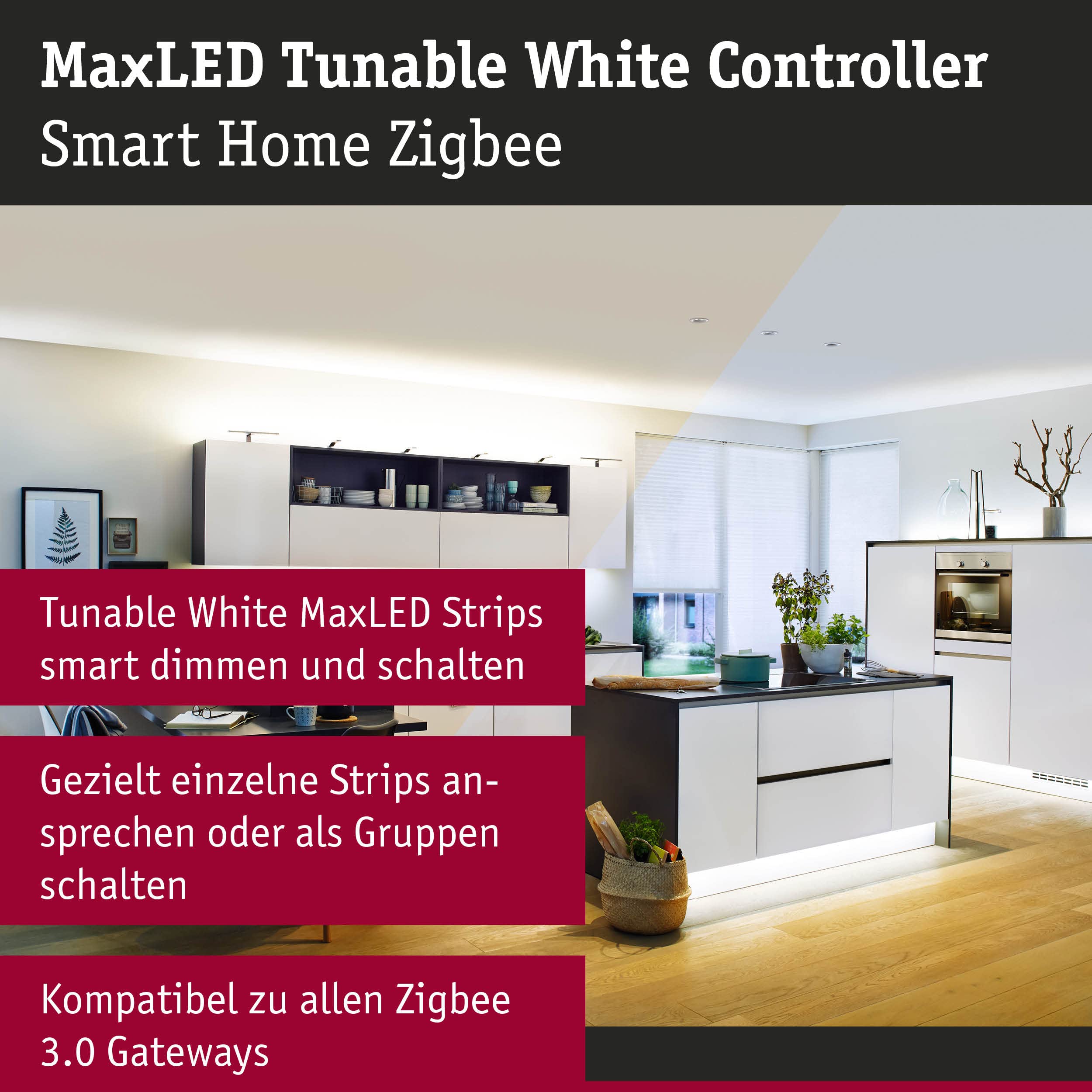 Paulmann MaxLED Tunable White Zigbee Controller 24V
