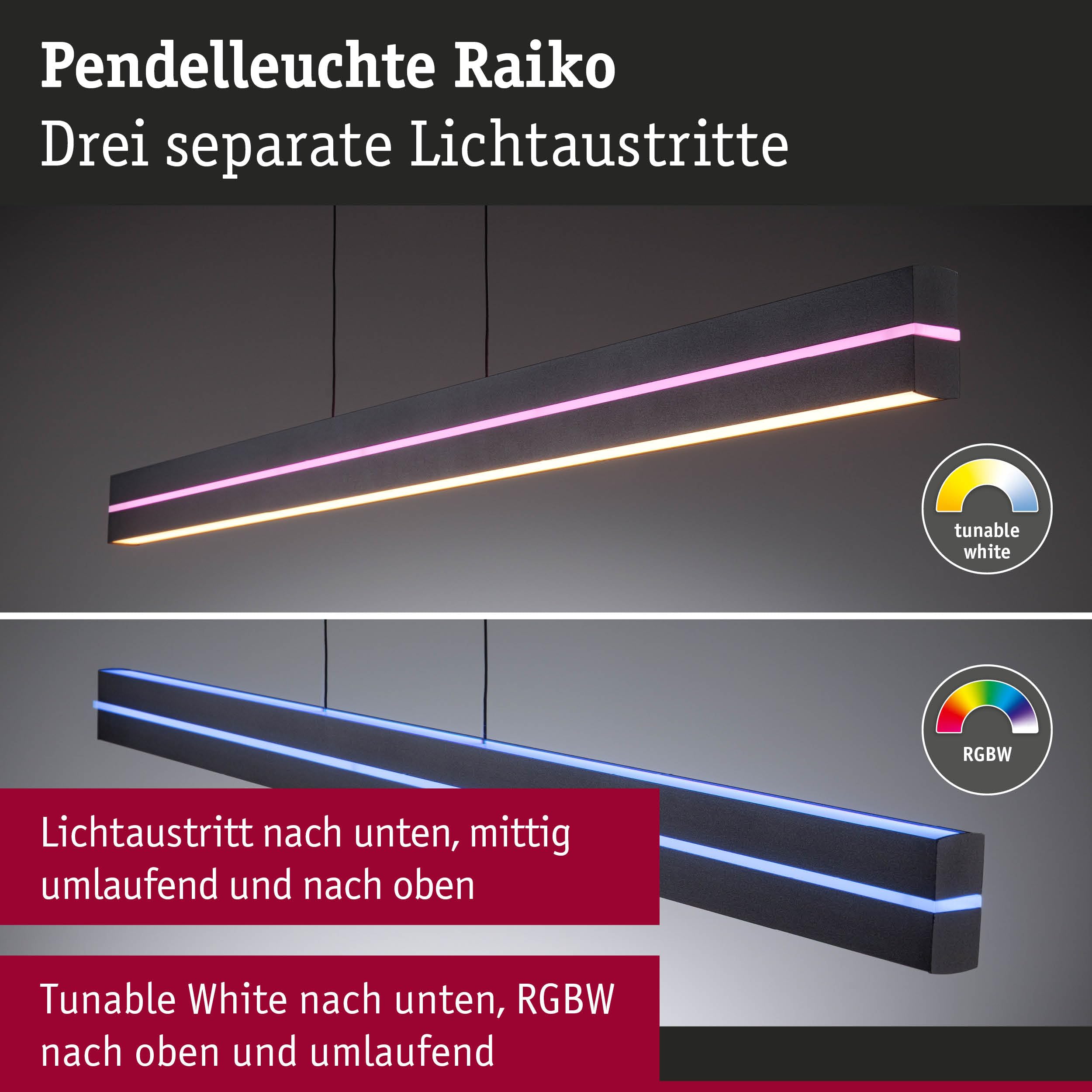 Paulmann Raiko 78474 Pendelleuchte Schwarz RGBW dimmbar