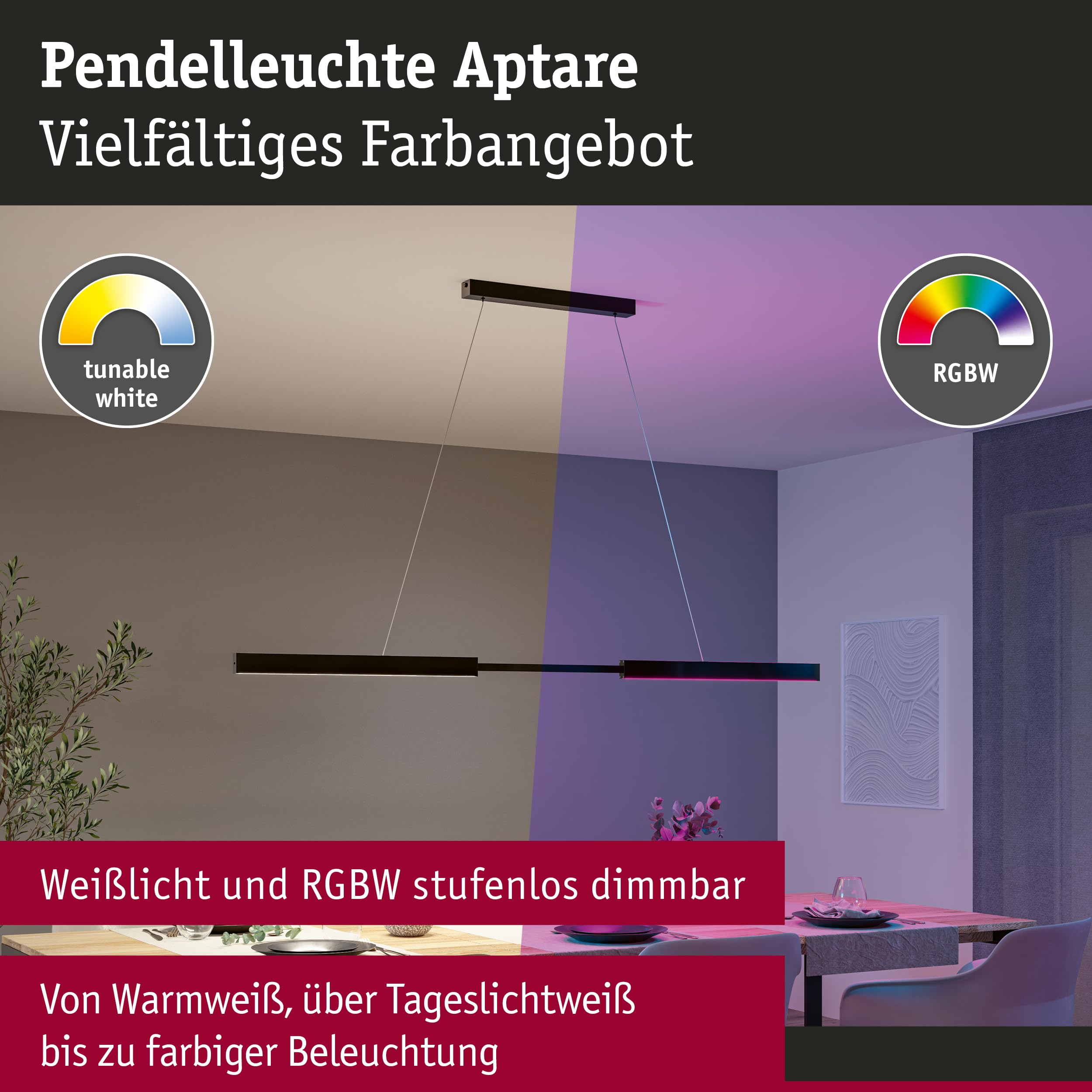 Paulmann Aptare 78024 Pendelleuchte Zigbee RGBW Schwarz 1920lm smart