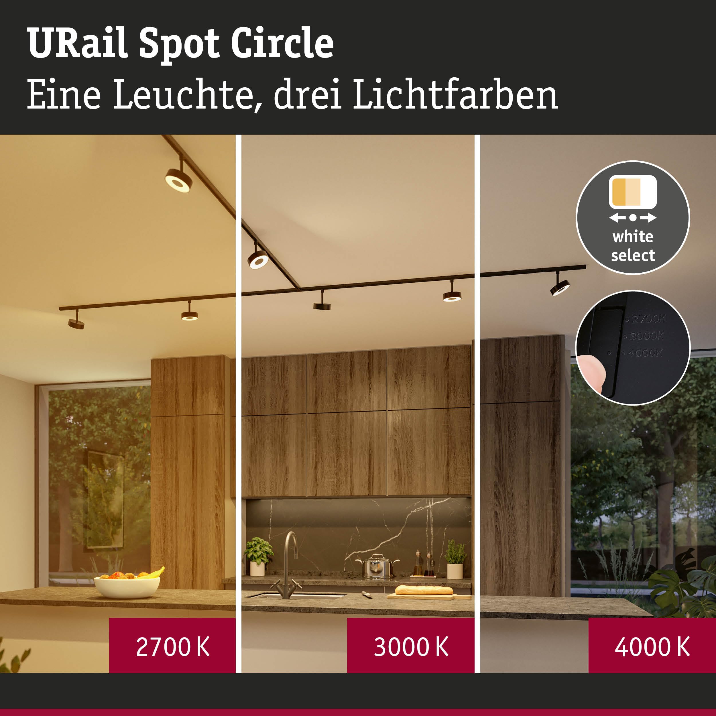 Paulmann URail Circle Schienenspot 5W schwarz matt