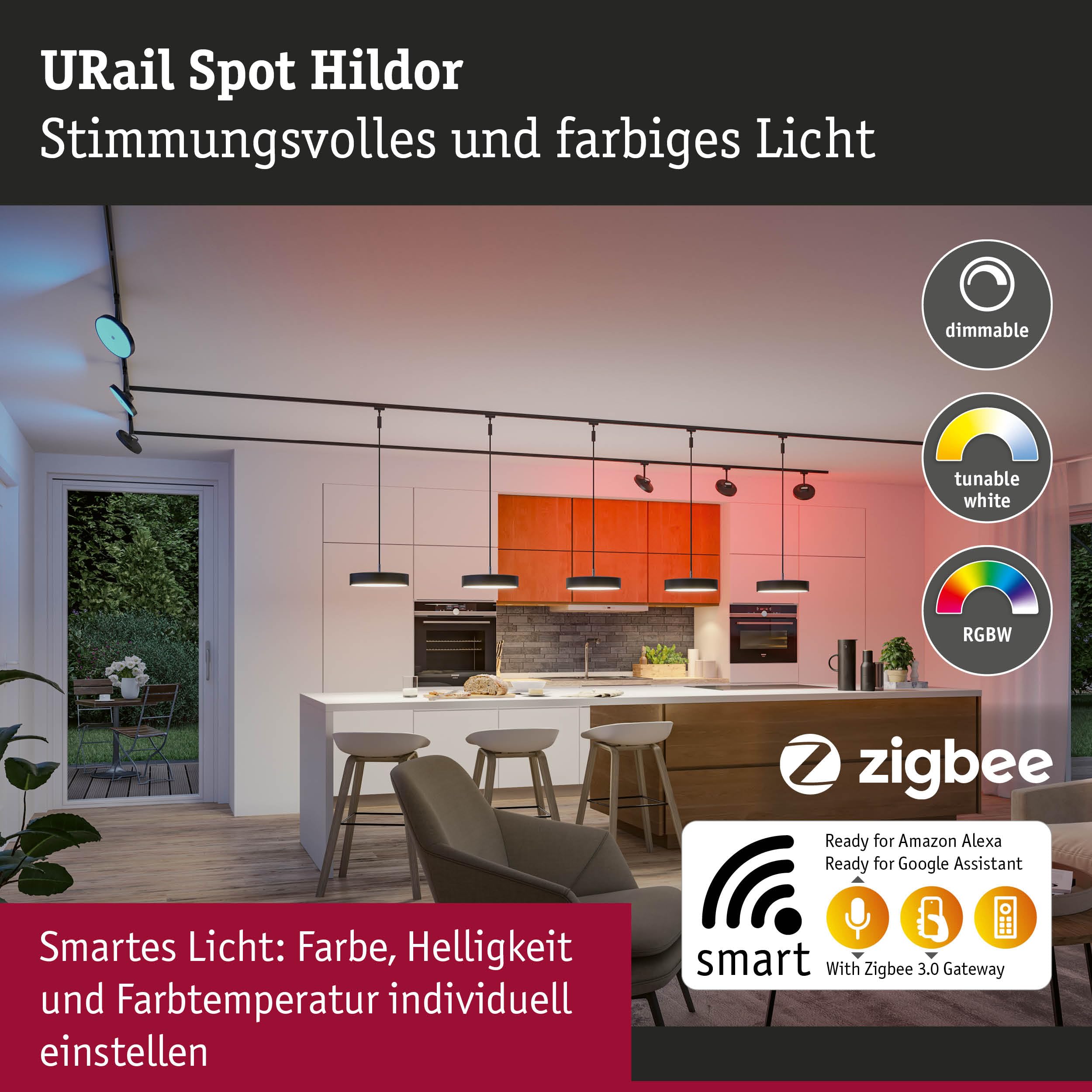 Paulmann URail 95690 Hildor Spot Schwarz matt RGBW