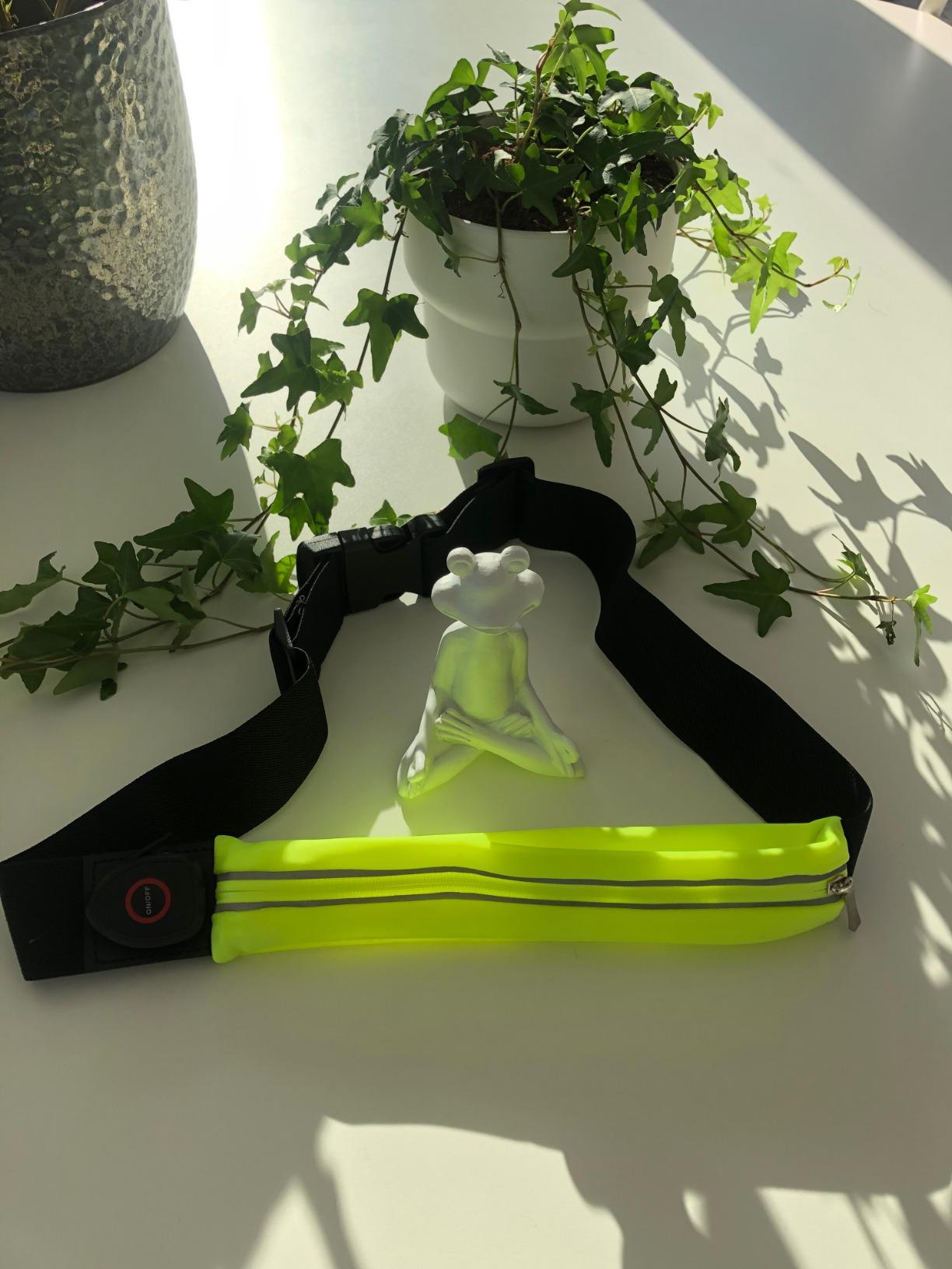 Paulmann 70969 Function Laufgurt LED gelb mit Smartphone-Fach