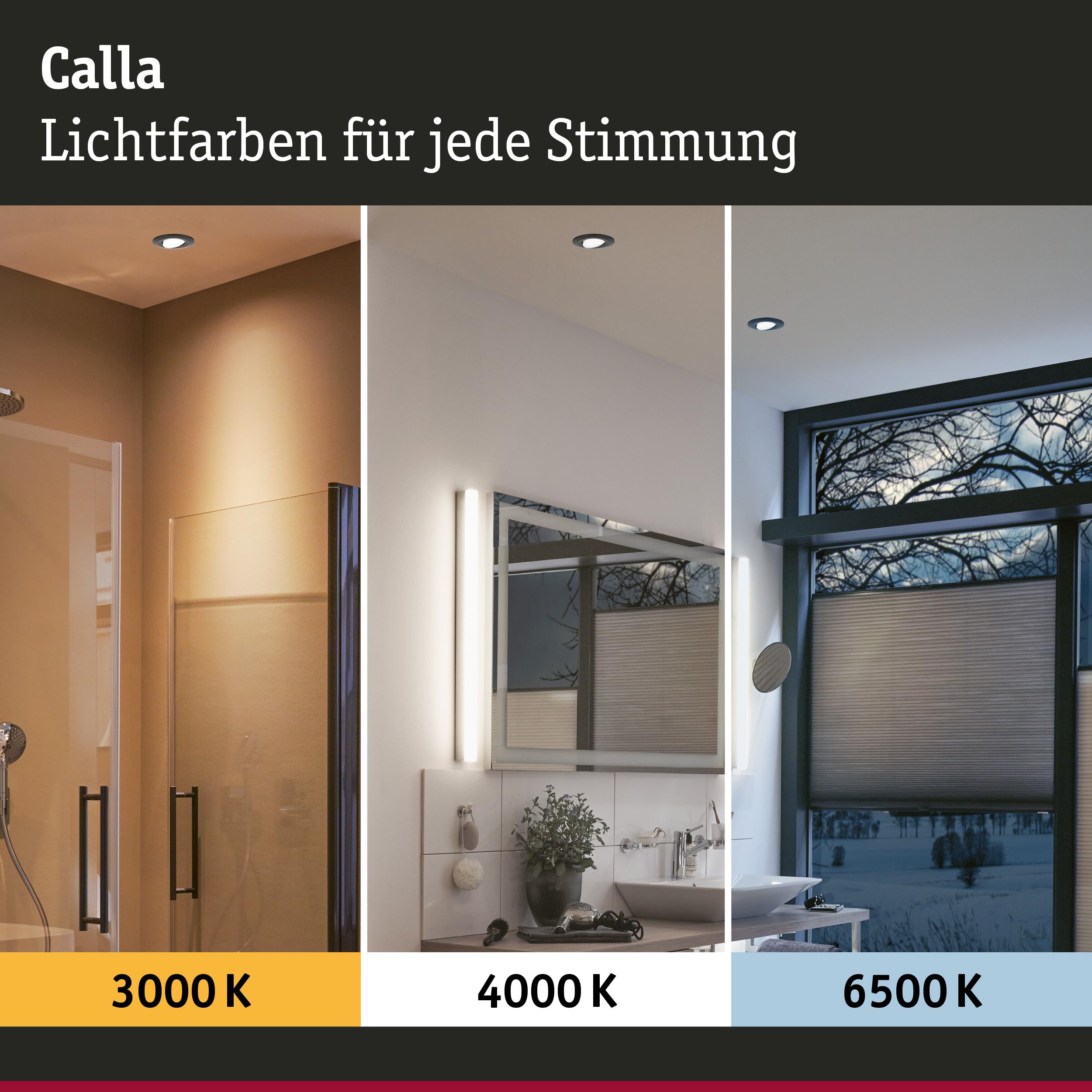 Paulmann Calla 98198 Einbauspot 10er-Set schwarz schwenkbar