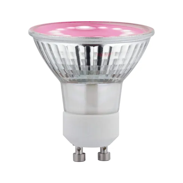 Paulmann 28736 LED-Pflanzenlampe GU10 Vollglas Wachstum
