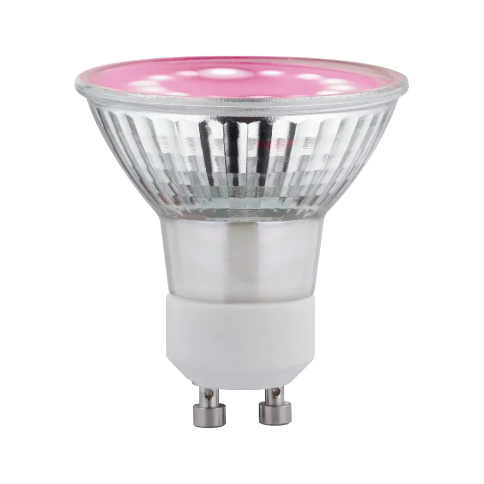 Paulmann 28736 LED-Pflanzenlampe GU10 Vollglas Wachstum