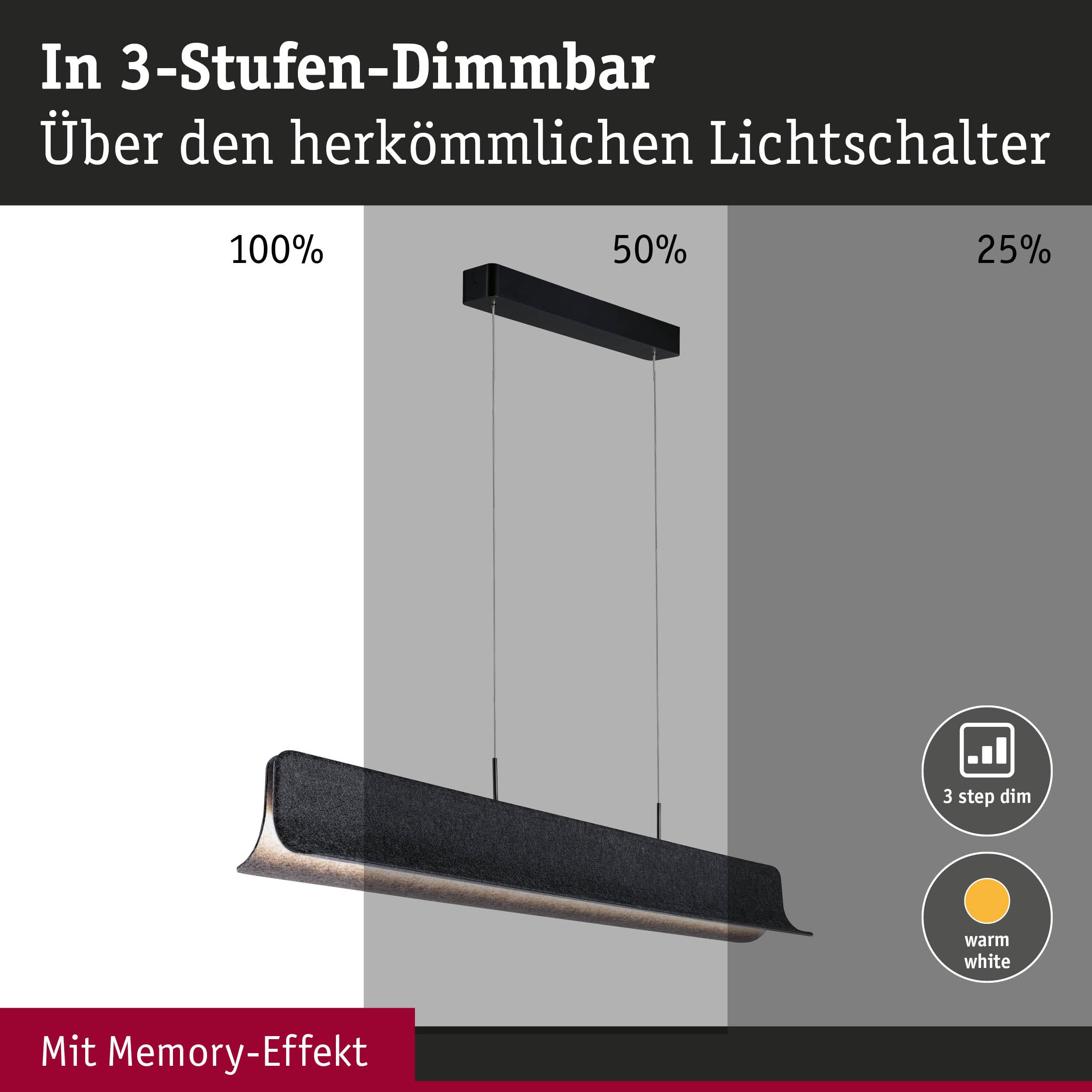 Paulmann Noyan 79982 LED Pendelleuchte Anthrazit 100 cm