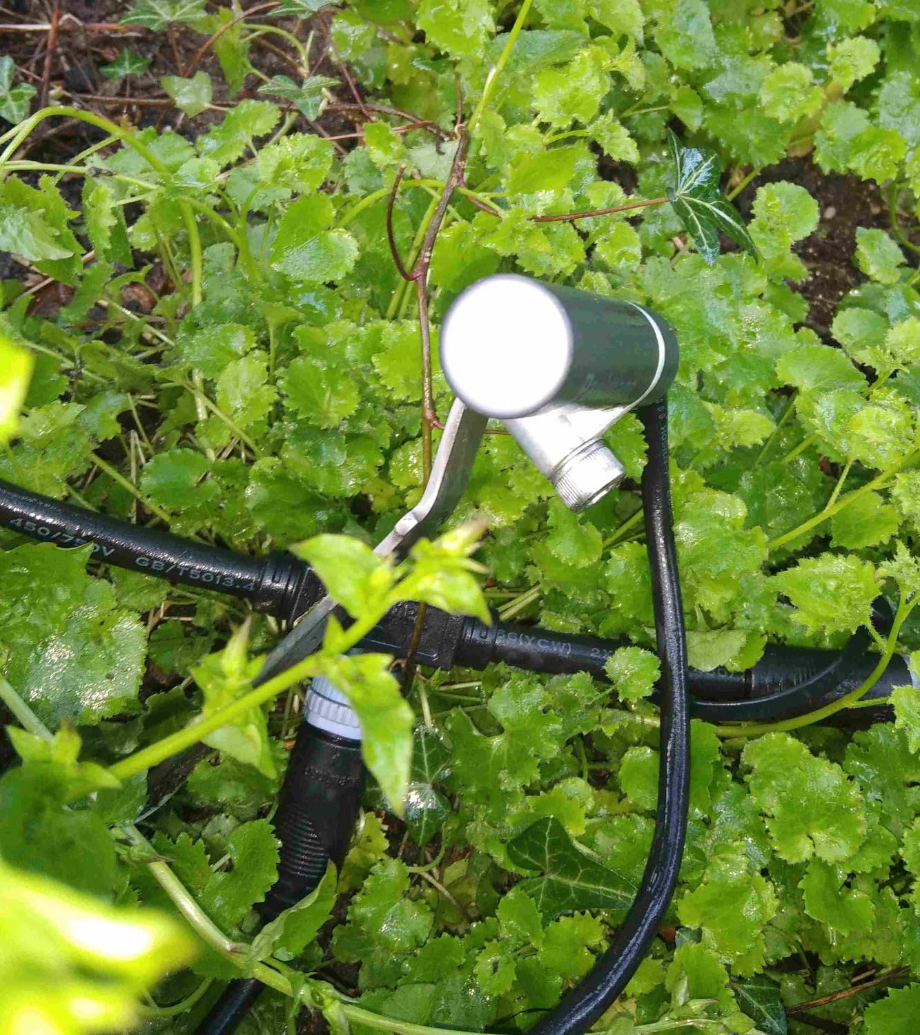 Paulmann Plug & Shine Plantini 94154 Spot Basisset 3er warmweiß
