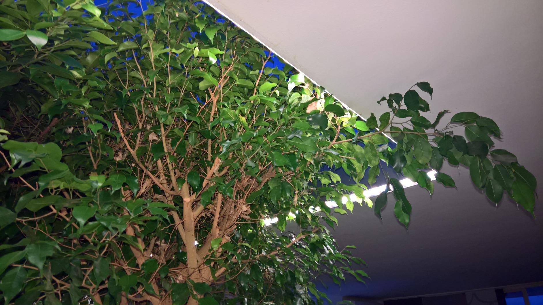 Paulmann Function Delta LED Profil Alu 1m mit Diffusor