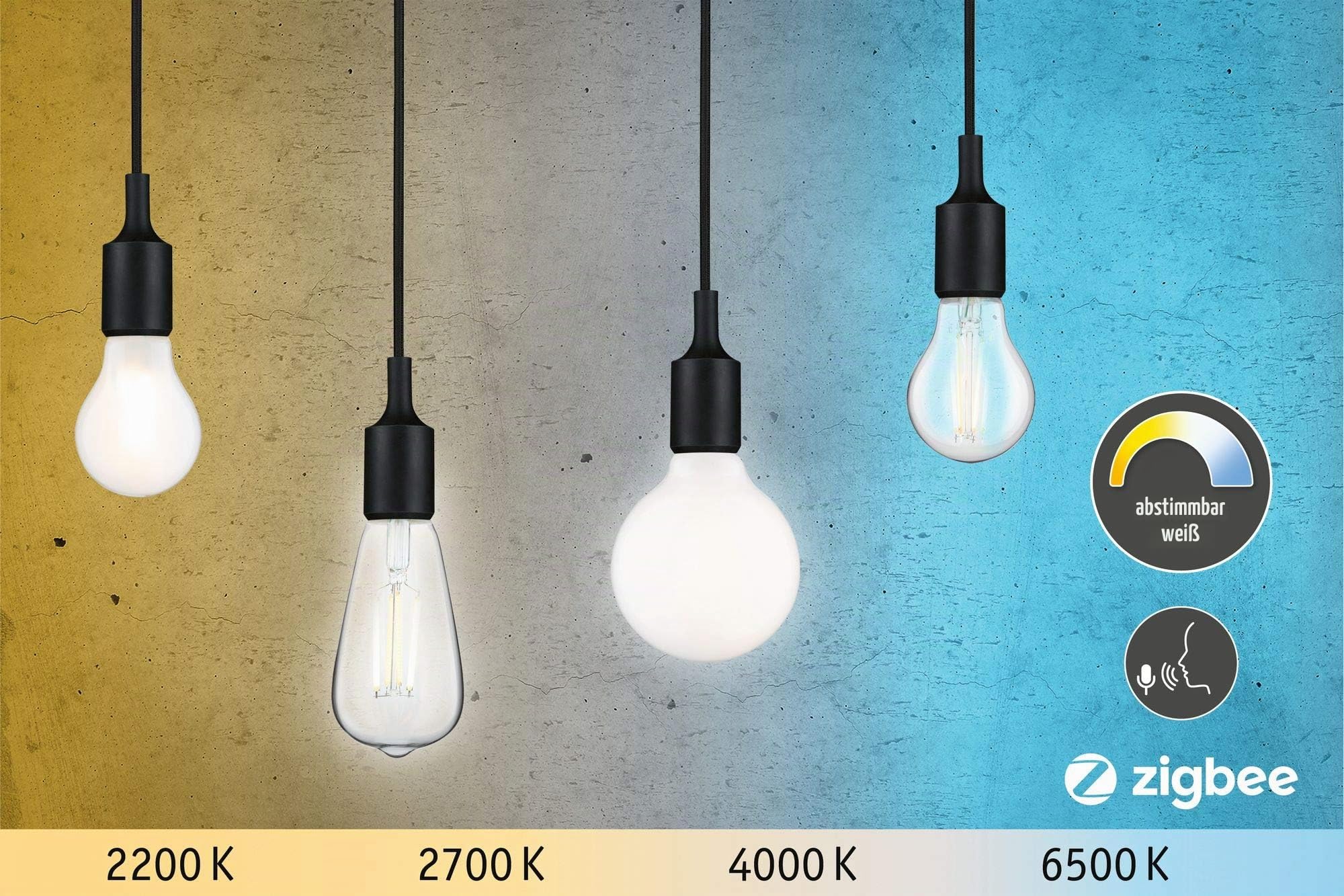 Paulmann 50395 LED Filament ST64 E27 Tunable White 7W