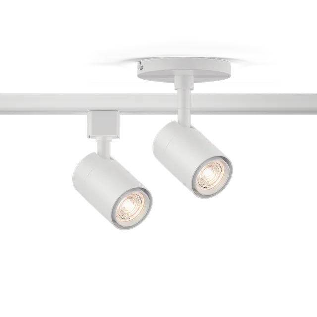Bruck GX10 Track Spot Standard White 1100 lm