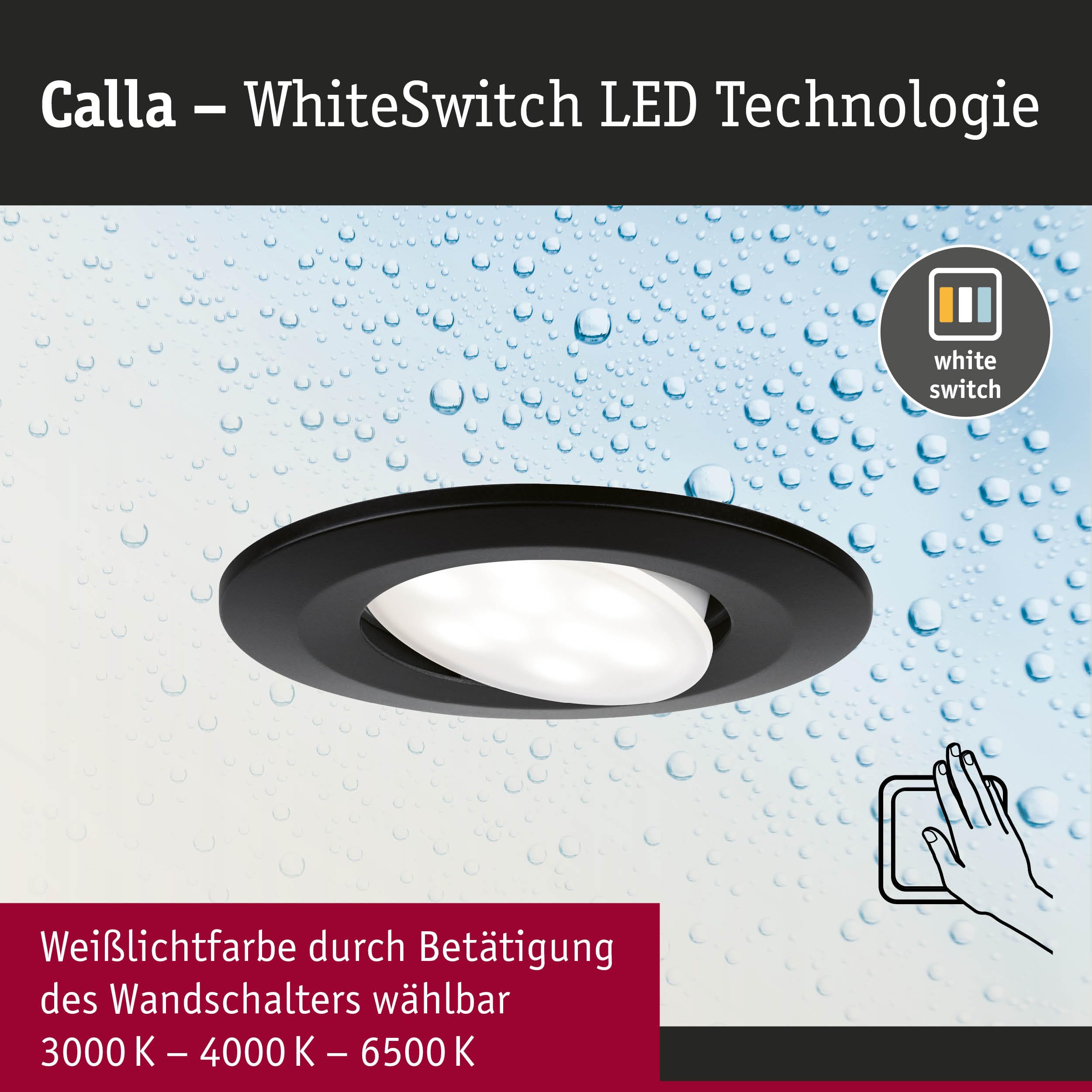 Paulmann Calla 98198 Einbauspot 10er-Set schwarz schwenkbar