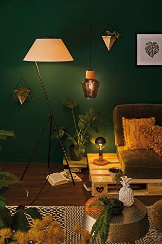 Paulmann 28715 Filament LED E27 6,5W Gold 2500K