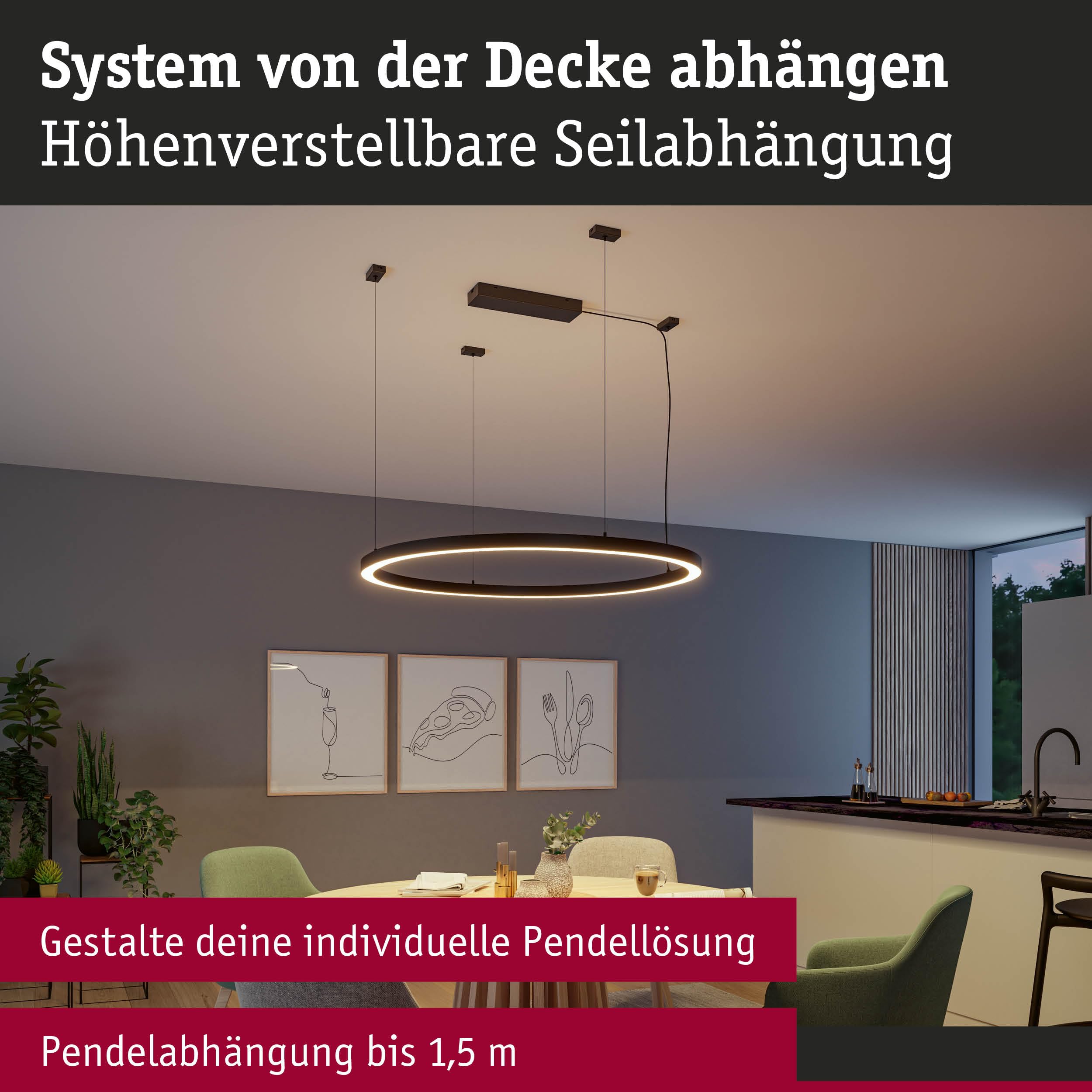 Paulmann Linion 98187 Seilabhängung 1,5m schwarz